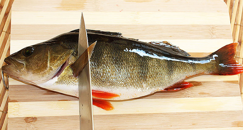 Нож для очистки рыбы от чешуи от компании 