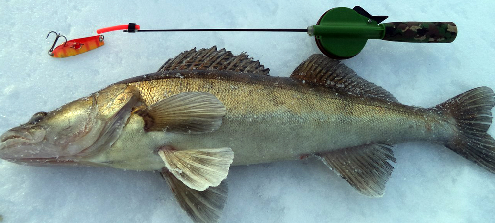 Самодельный кивок для зимней рыбалки - Самоделки для рыбалки своими руками