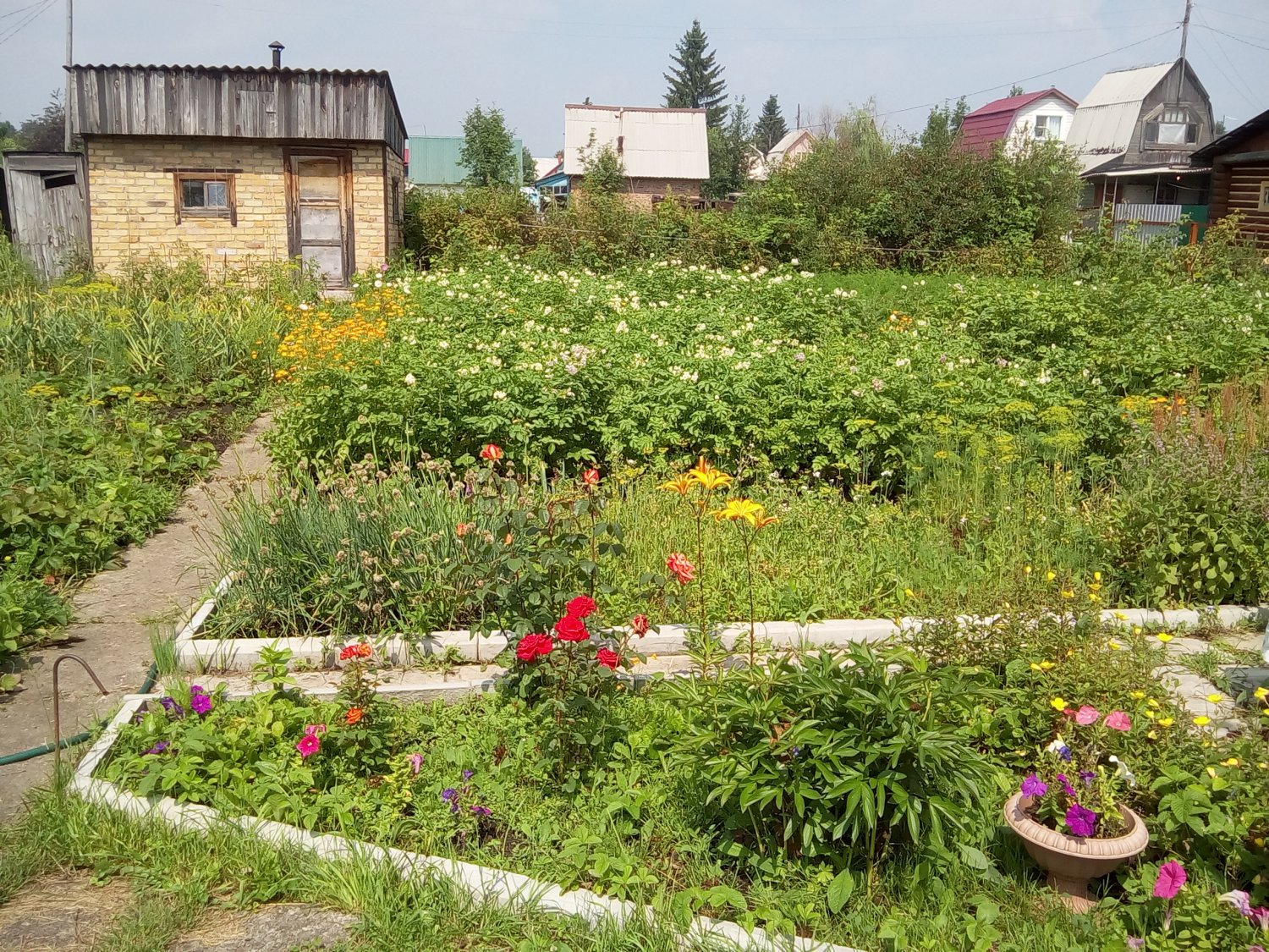 Продам дачу о.п. ОБСКОЙ ЗАЛИВ | Разное | Форум рыбаков