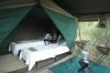 botswana_tents_05.jpg