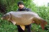 Large-Carp.jpg