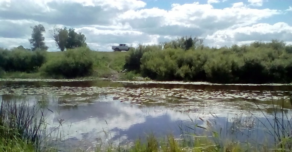 Погода село чулым. Старогорносталево Здвинского района. Река Чулым Здвинский район. Село Чулым Здвинского района Новосибирской области. Село Старогорносталево Здвинского района Новосибирской области.