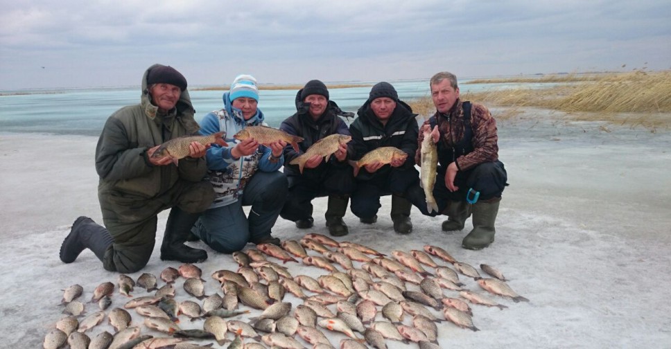 Фишингсиб вести с водоемов. Песчаное рыбалка. Вести с водоемов. Рыбалка в Новосибирской области вести с водоемов. Рыбалка ведя.