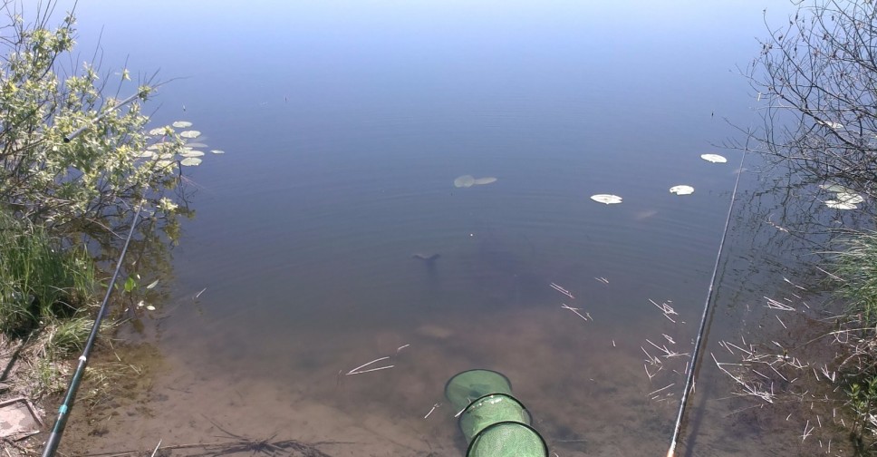 Рыбалка в новосибирске вести с водоемов фото