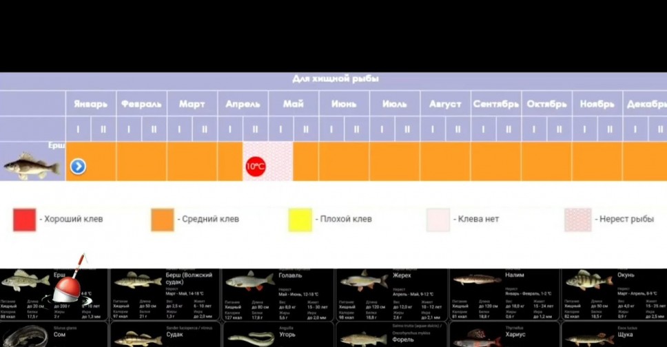 Прогноз клева в сыктывкаре. Клев рыбы. Прогноз клева рыбы на ютубе. Прогноз клева рыбы Усть-Каменогорске. Рыболовный лунный календарь.