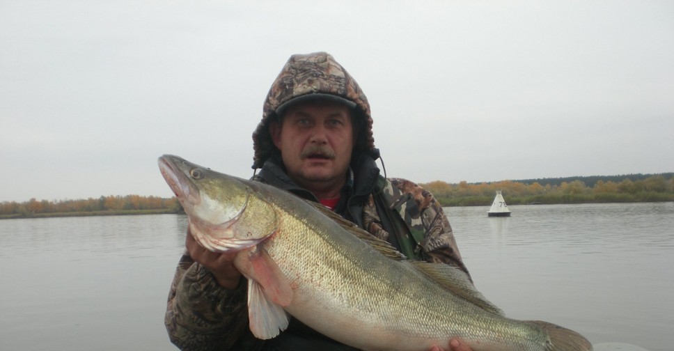 Фишингсиб вести с водоемов. ОВХ Новосибирск вести с водоемов. Вести с водоемов Новосибирской ОВХ. Рыбалка в Новосибирской вести с водоемов. Фишингсиб вести.