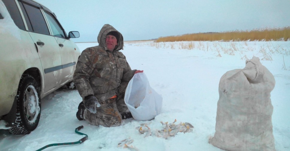 Чаны сегодня. Рыбалка на Чанах зимой. Чаны вести с водоемов. Тюменка Чаны рыбалка. Тюменка Новосибирская область рыбалка.